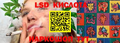 PSILOCYBIN Пенза