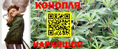 гидропоника Партизанск