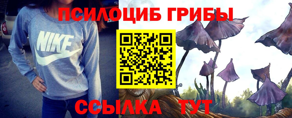Псилоцибиновые грибы мухоморы Благовещенск