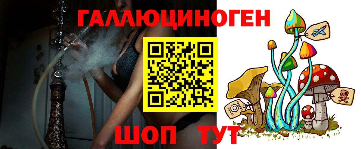 Благовещенск  Псилоцибиновые грибы MAGIC MUSHROOMS  Вход с VPN 